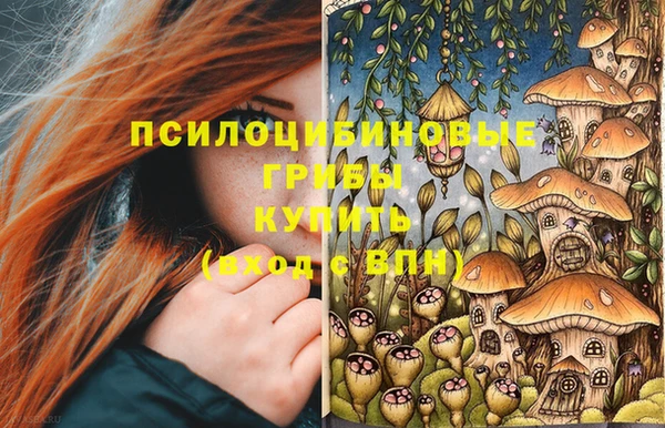 2c-b Богородицк