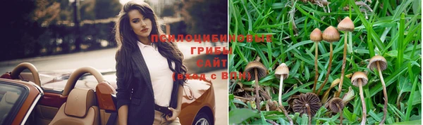 дурь Богданович
